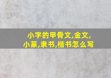 小字的甲骨文,金文,小篆,隶书,楷书怎么写