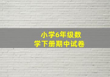 小学6年级数学下册期中试卷