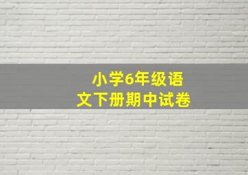 小学6年级语文下册期中试卷