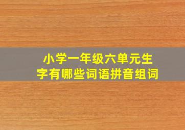 小学一年级六单元生字有哪些词语拼音组词