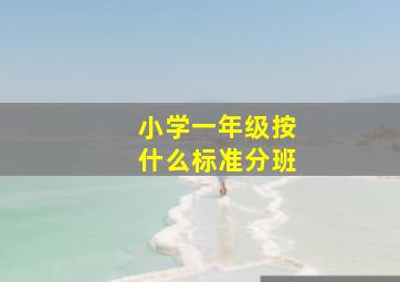 小学一年级按什么标准分班