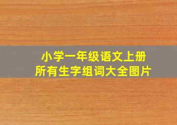 小学一年级语文上册所有生字组词大全图片