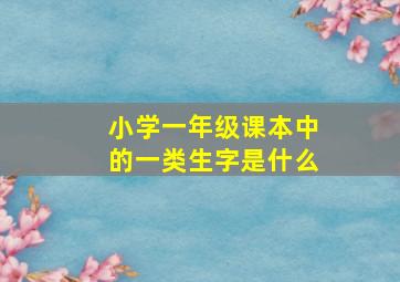 小学一年级课本中的一类生字是什么