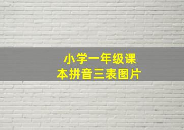 小学一年级课本拼音三表图片