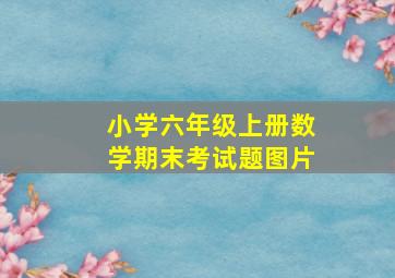 小学六年级上册数学期末考试题图片