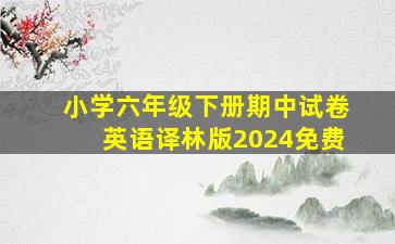 小学六年级下册期中试卷英语译林版2024免费