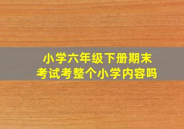 小学六年级下册期末考试考整个小学内容吗