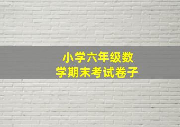 小学六年级数学期末考试卷子