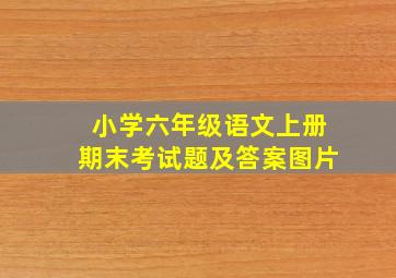 小学六年级语文上册期末考试题及答案图片