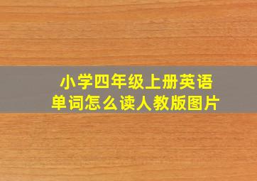 小学四年级上册英语单词怎么读人教版图片