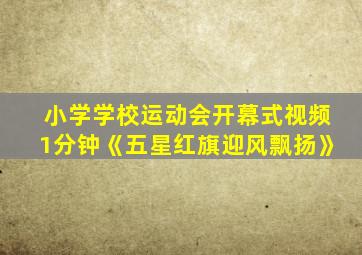 小学学校运动会开幕式视频1分钟《五星红旗迎风飘扬》