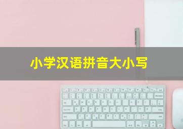 小学汉语拼音大小写