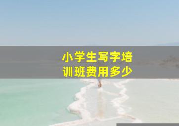 小学生写字培训班费用多少