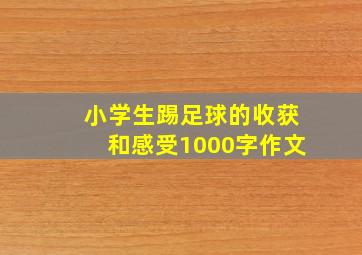 小学生踢足球的收获和感受1000字作文