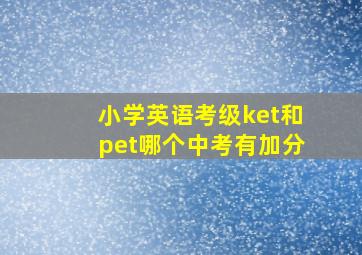 小学英语考级ket和pet哪个中考有加分