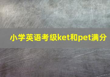 小学英语考级ket和pet满分