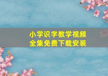 小学识字教学视频全集免费下载安装