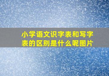 小学语文识字表和写字表的区别是什么呢图片