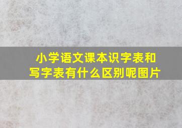 小学语文课本识字表和写字表有什么区别呢图片