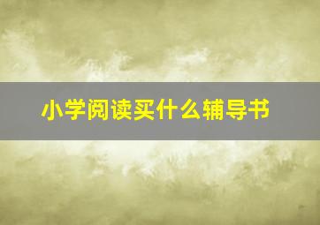 小学阅读买什么辅导书