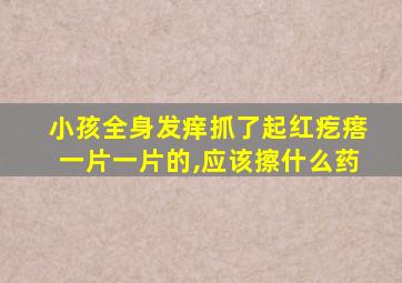 小孩全身发痒抓了起红疙瘩一片一片的,应该擦什么药