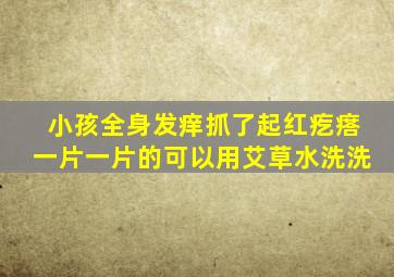 小孩全身发痒抓了起红疙瘩一片一片的可以用艾草水洗洗