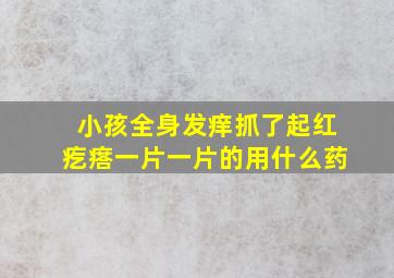 小孩全身发痒抓了起红疙瘩一片一片的用什么药