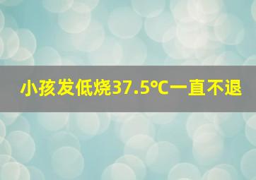 小孩发低烧37.5℃一直不退