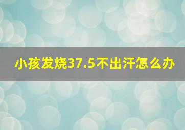 小孩发烧37.5不出汗怎么办