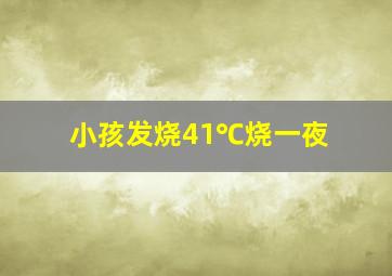 小孩发烧41℃烧一夜