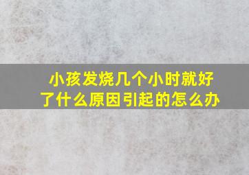 小孩发烧几个小时就好了什么原因引起的怎么办