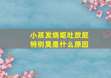 小孩发烧呕吐放屁特别臭是什么原因