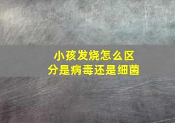 小孩发烧怎么区分是病毒还是细菌