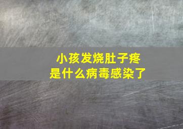 小孩发烧肚子疼是什么病毒感染了