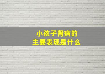 小孩子肾病的主要表现是什么