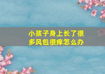 小孩子身上长了很多风包很痒怎么办