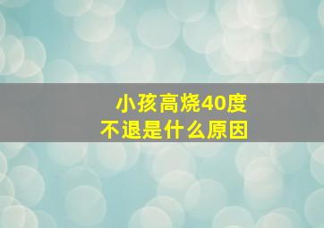 小孩高烧40度不退是什么原因