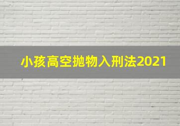 小孩高空抛物入刑法2021