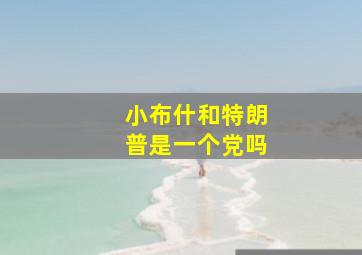 小布什和特朗普是一个党吗