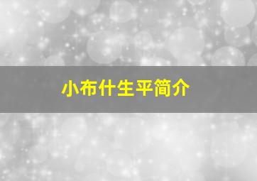 小布什生平简介