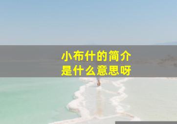 小布什的简介是什么意思呀