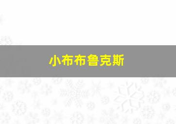 小布布鲁克斯