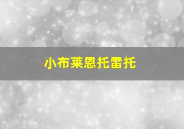 小布莱恩托雷托