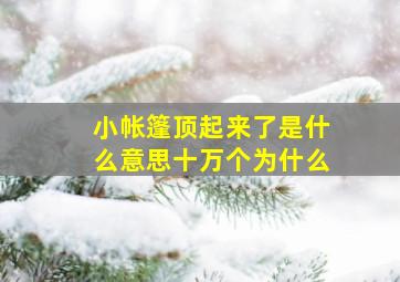 小帐篷顶起来了是什么意思十万个为什么