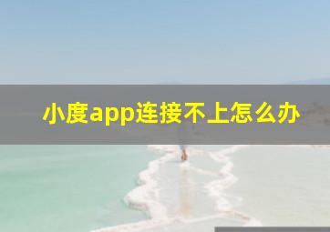 小度app连接不上怎么办