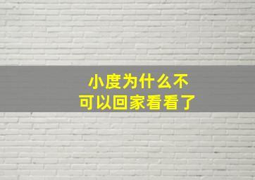 小度为什么不可以回家看看了