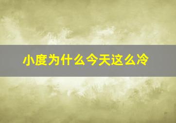 小度为什么今天这么冷