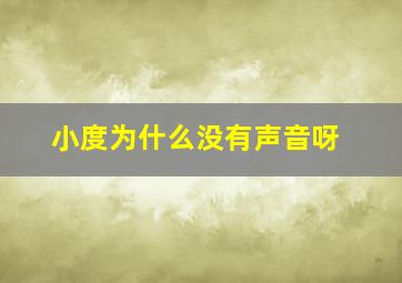 小度为什么没有声音呀