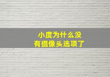 小度为什么没有摄像头选项了