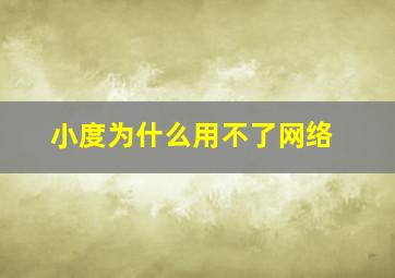 小度为什么用不了网络